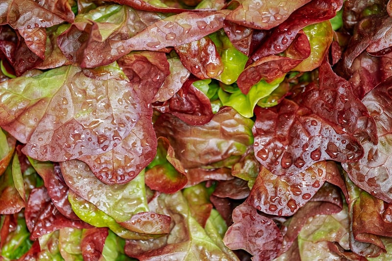 Harvest Preservation
